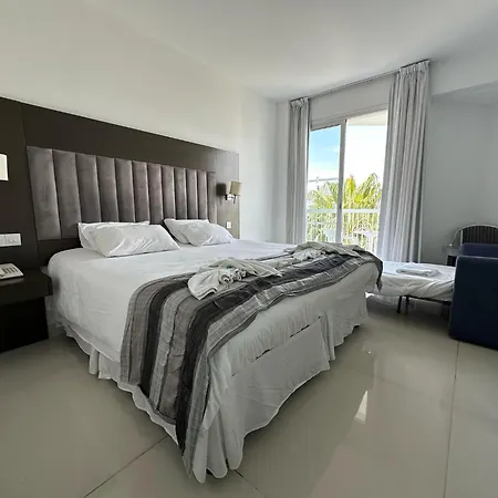 Napa Jay 3*
