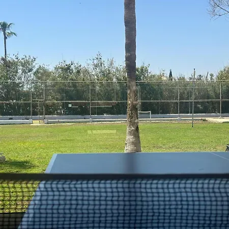 Napa Jay 3*